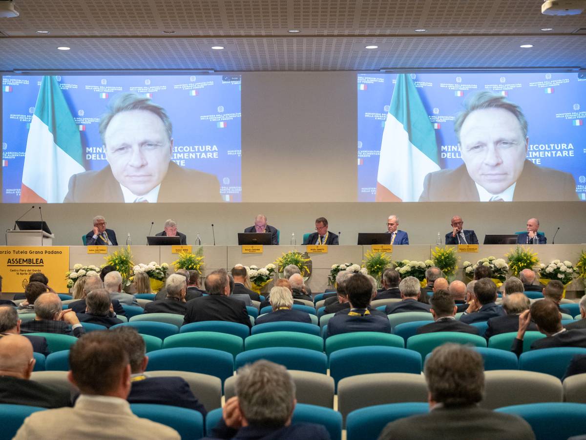 grana padano dop consumi ed export in crescita all8217estero va oltre il 50 della produzione da Ilgiornale.it grana padano dop consumi ed export in crescita all8217estero va oltre il 50 della produzione