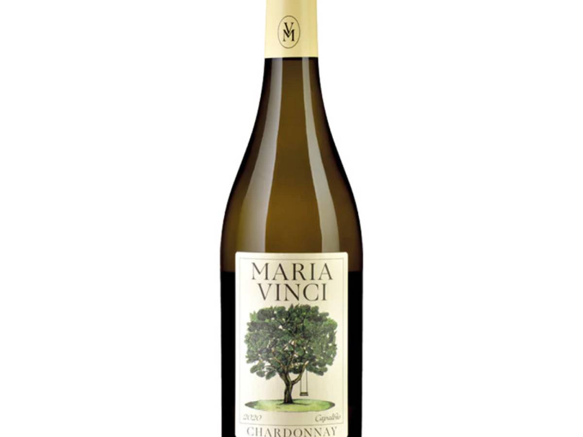 maria vinci la maremma che somiglia alla borgogna da Ilgiornale.it maria vinci la maremma che somiglia alla borgogna