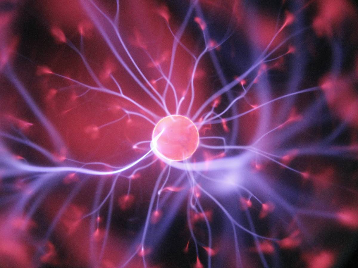 feltri il nucleare e la bomba che abbiamo in testa da Ilgiornale.it feltri il nucleare e la bomba che abbiamo in testa