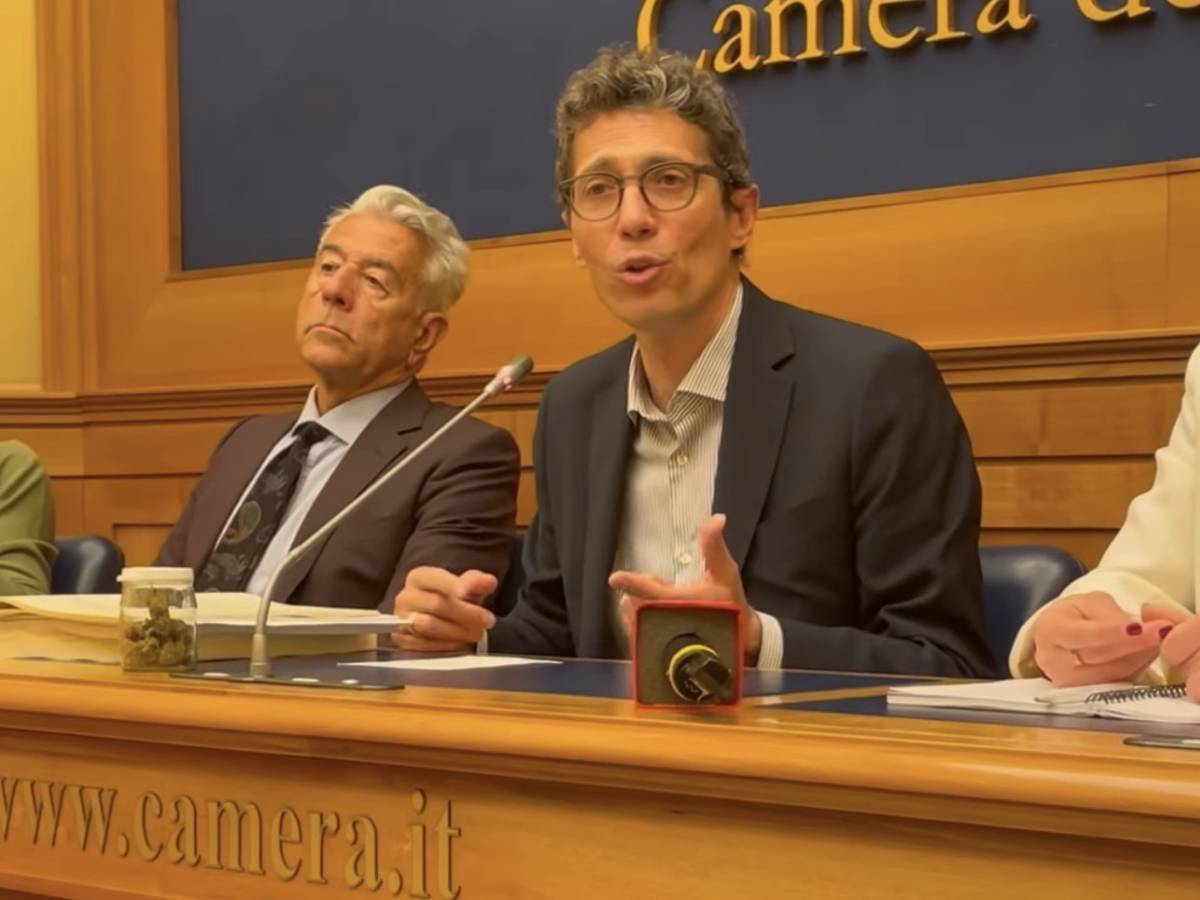 magi cede cannabis alla camera cosa rischia ora il deputato da Ilgiornale.it magi cede cannabis alla camera cosa rischia ora il deputato