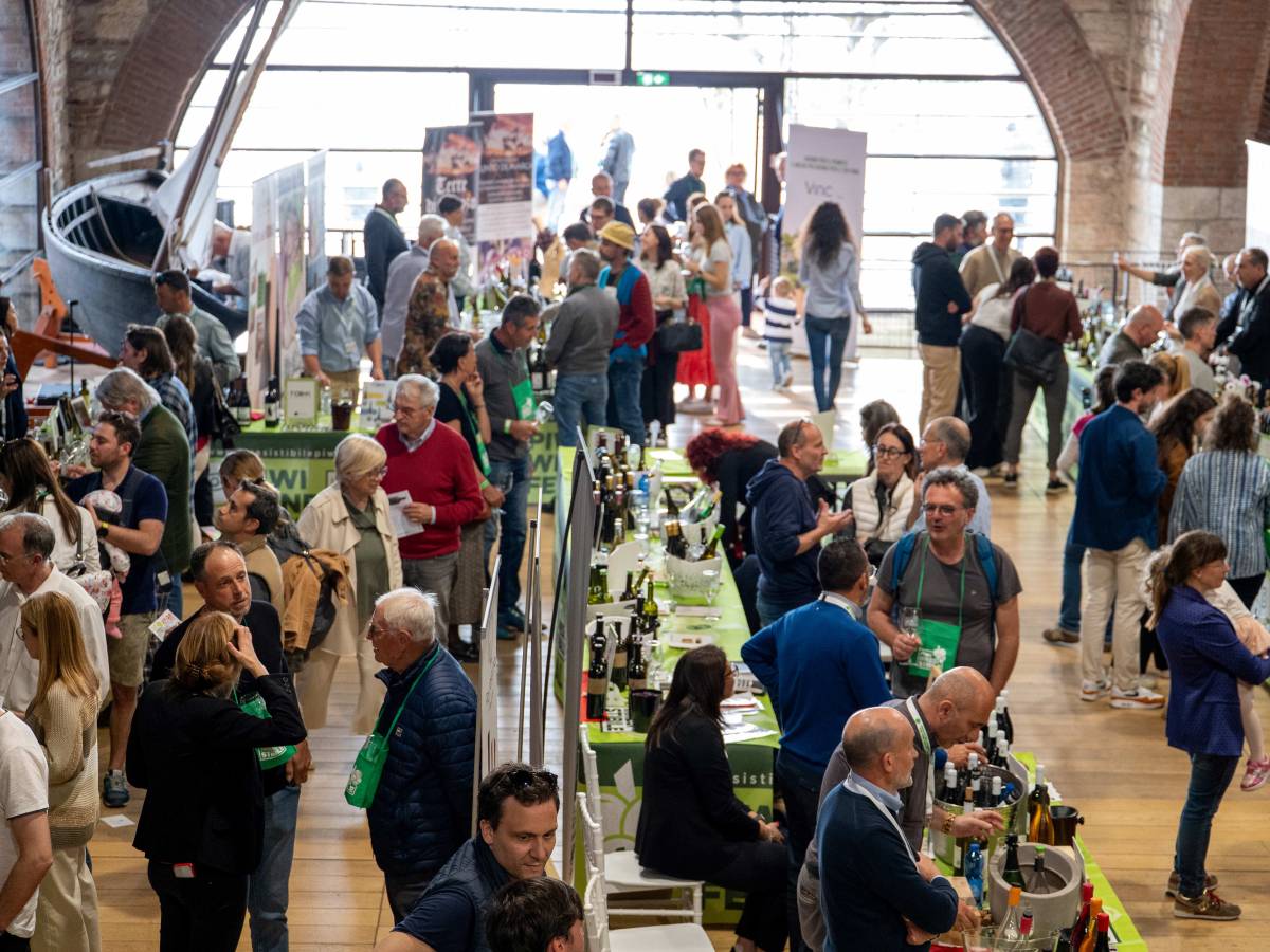 irresistibile piwi lazise capitale dei vitigni resistenti da Ilgiornale.it irresistibile piwi lazise capitale dei vitigni resistenti