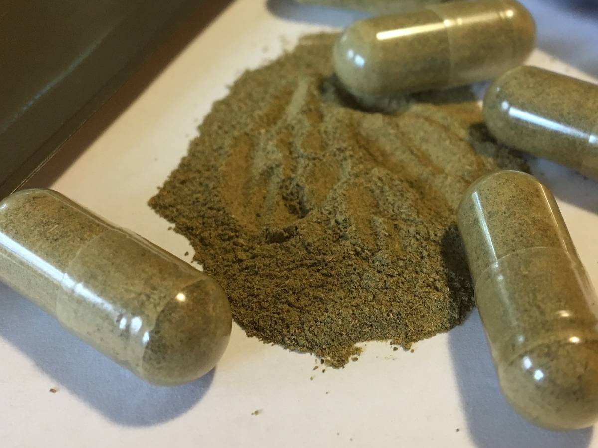 boom di casi 1200 allarme kratom negli usa cos 232 232 perch233 sta esplodendo da Ilgiornale.it boom di casi 1200 allarme kratom negli usa cos 232 232 perch233 sta esplodendo