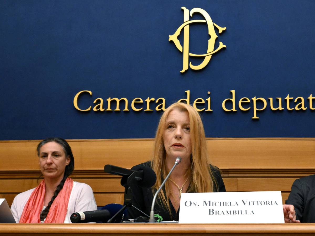 famiglia nel bosco brambilla violenza di stato sistema da riformare da Ilgiornale.it famiglia nel bosco brambilla violenza di stato sistema da riformare