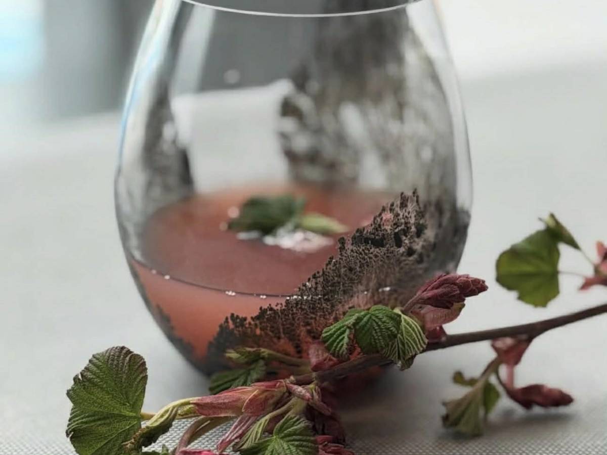 il juice pairing secondo giulia caffiero da Ilgiornale.it il juice pairing secondo giulia caffiero