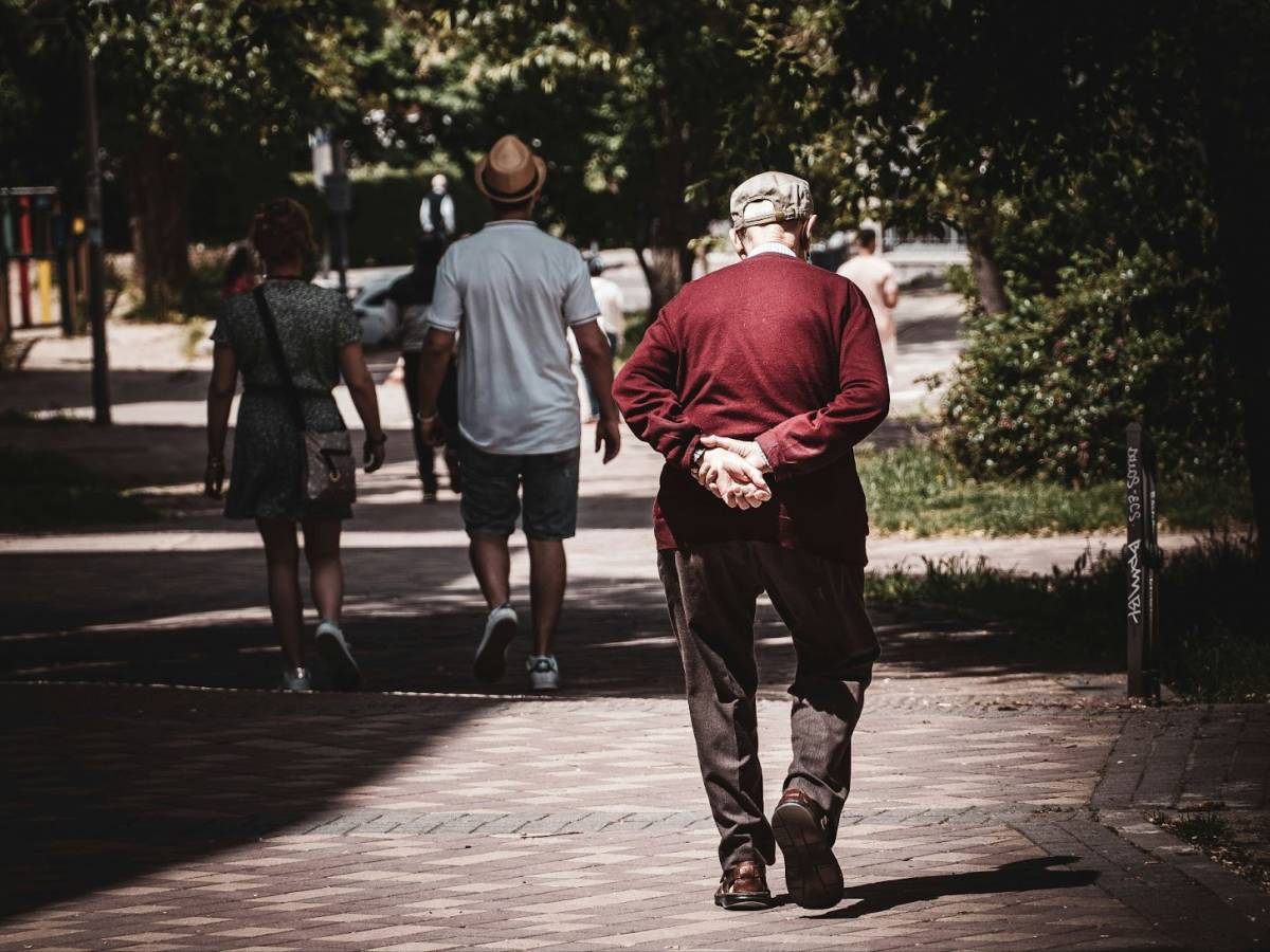 pensioni previsti aumenti fino a 80 euro ecco per chi e quali sono le cifre da Ilgiornale.it pensioni previsti aumenti fino a 80 euro ecco per chi e quali sono le cifre