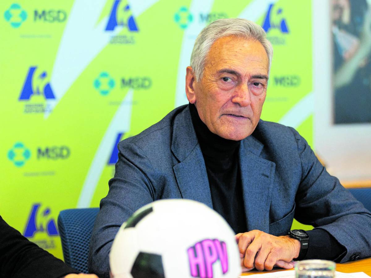 il governo rinuncia a commissariare la figc via libera alle elezioni da Ilgiornale.it il governo rinuncia a commissariare la figc via libera alle elezioni