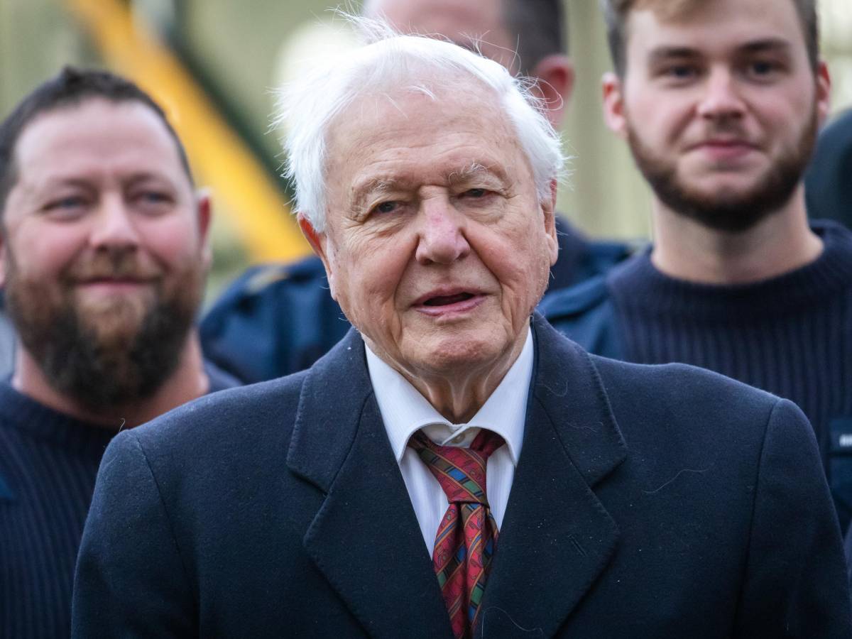 mentre attenborough oggi compie cent8217anni noi crediamo alle tigri finte con l ai da Ilgiornale.it mentre attenborough oggi compie cent8217anni noi crediamo alle tigri finte con l ai