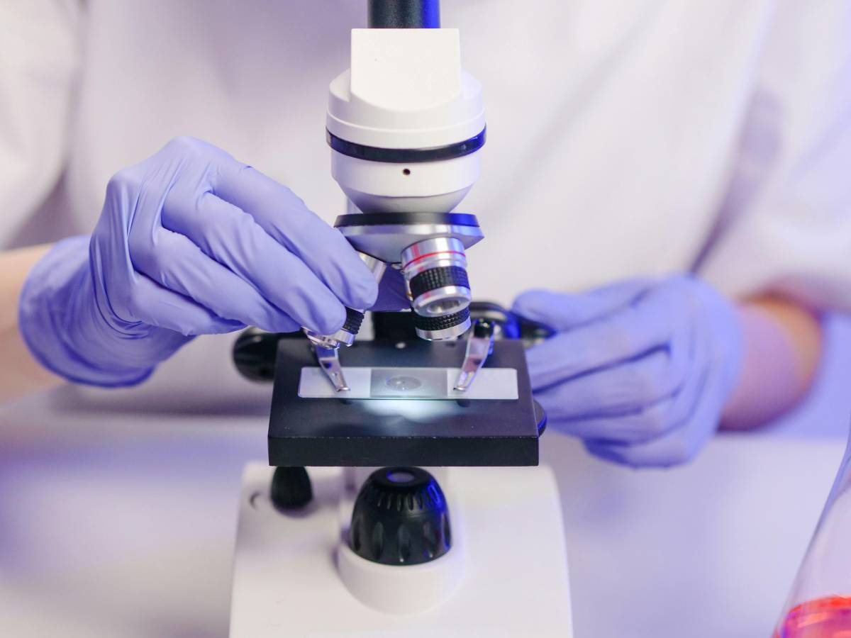 scoperto un virus nell8217intestino che potrebbe essere collegato al tumore al colon da Ilgiornale.it scoperto un virus nell8217intestino che potrebbe essere collegato al tumore al colon