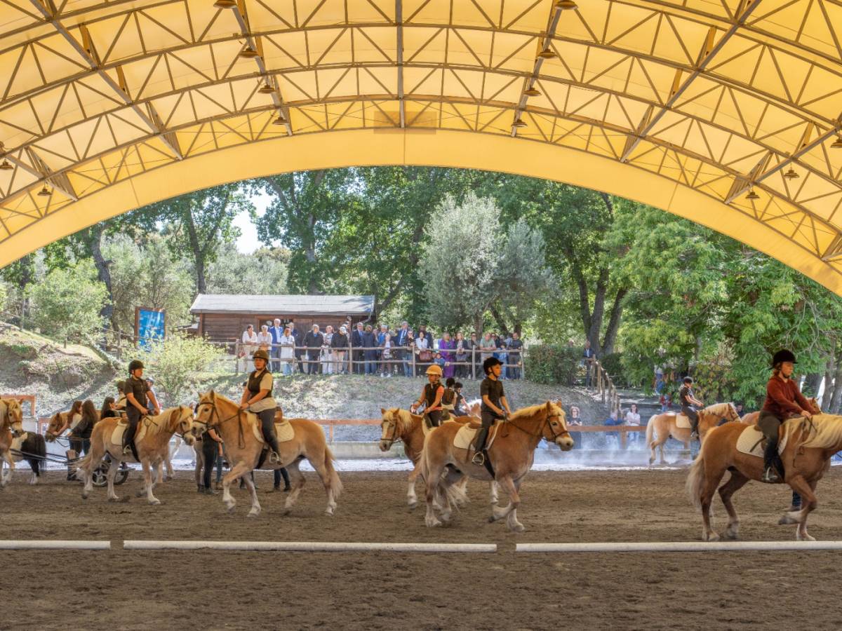 san raffaele viterbo celebra 40 anni di riabilitazione equestre una storia di cura relazione e inclusione da Ilgiornale.it san raffaele viterbo celebra 40 anni di riabilitazione equestre una storia di cura relazione e inclusione
