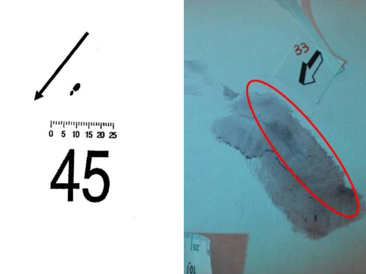 una goccia di sangue sotto l impronta 33 cosa sappiamo della traccia 45 da Ilgiornale.it una goccia di sangue sotto l impronta 33 cosa sappiamo della traccia 45