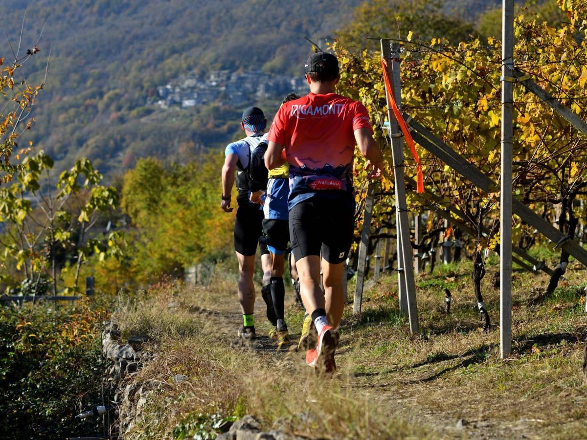 Il Valtellina Wine Trail fa il tutto esaurito. Quattromila runner tra vigneti e cantine