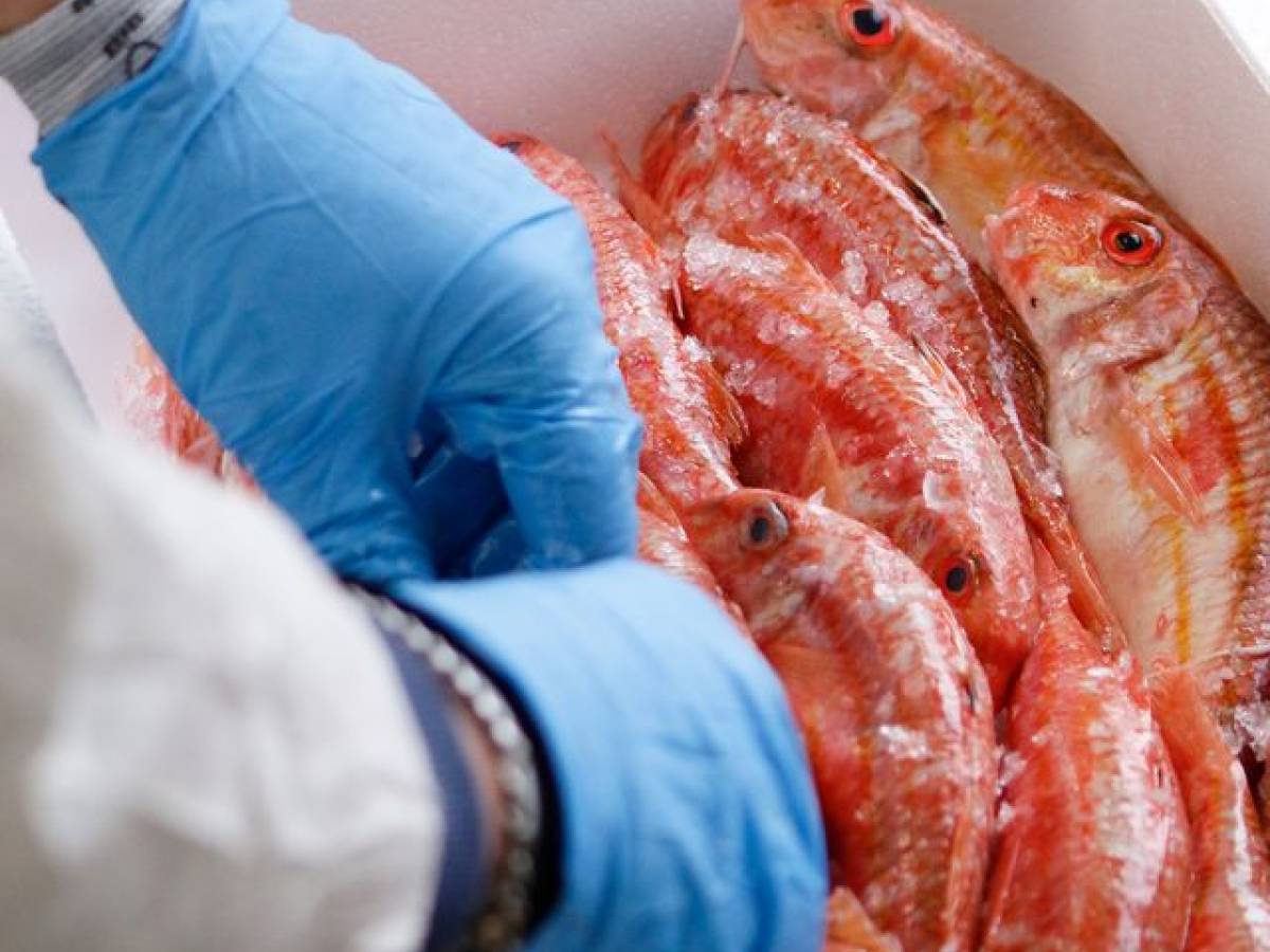 col mercato del pesce longinoampcardenal accorcia la filiera da Ilgiornale.it col mercato del pesce longinoampcardenal accorcia la filiera