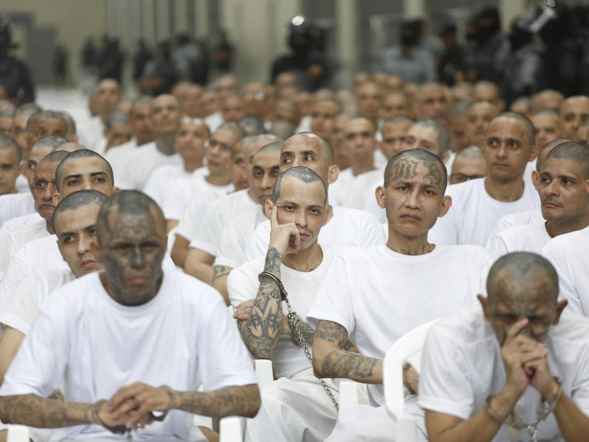 Cos’è la MS13, la gang accusata dell’omicidio del 22enne a Milano Certosa Cos’è la MS13, la gang accusata dell’omicidio del 22enne a Milano Certosa