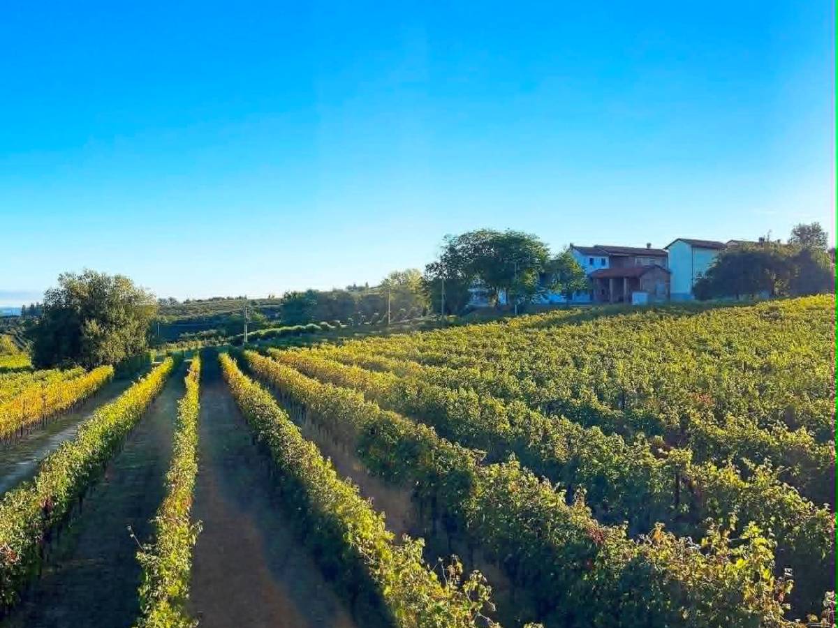 cordero di montezemolo la ricerca dell8217armonia assoluta da Ilgiornale.it cordero di montezemolo la ricerca dell8217armonia assoluta