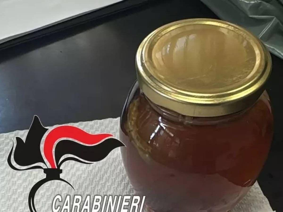 17enne lotta tra la vita e la morte dopo aver assunto del miele da sballo di cosa si tratta e quali sono i rischi da Ilgiornale.it 17enne lotta tra la vita e la morte dopo aver assunto del miele da sballo di cosa si tratta e quali sono i rischi