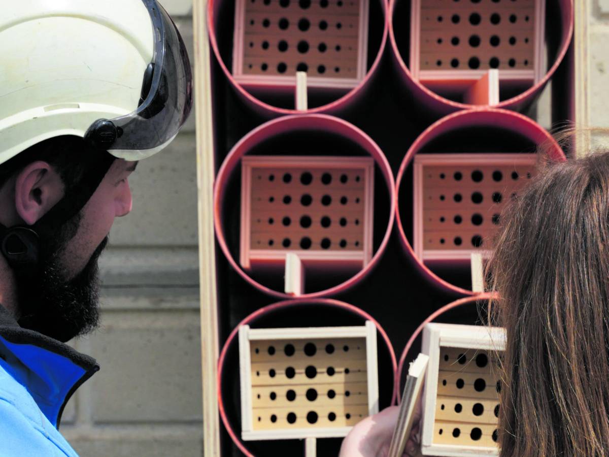 nidi artificiali per impollinatori sulle strutture elettriche terna da Ilgiornale.it nidi artificiali per impollinatori sulle strutture elettriche terna