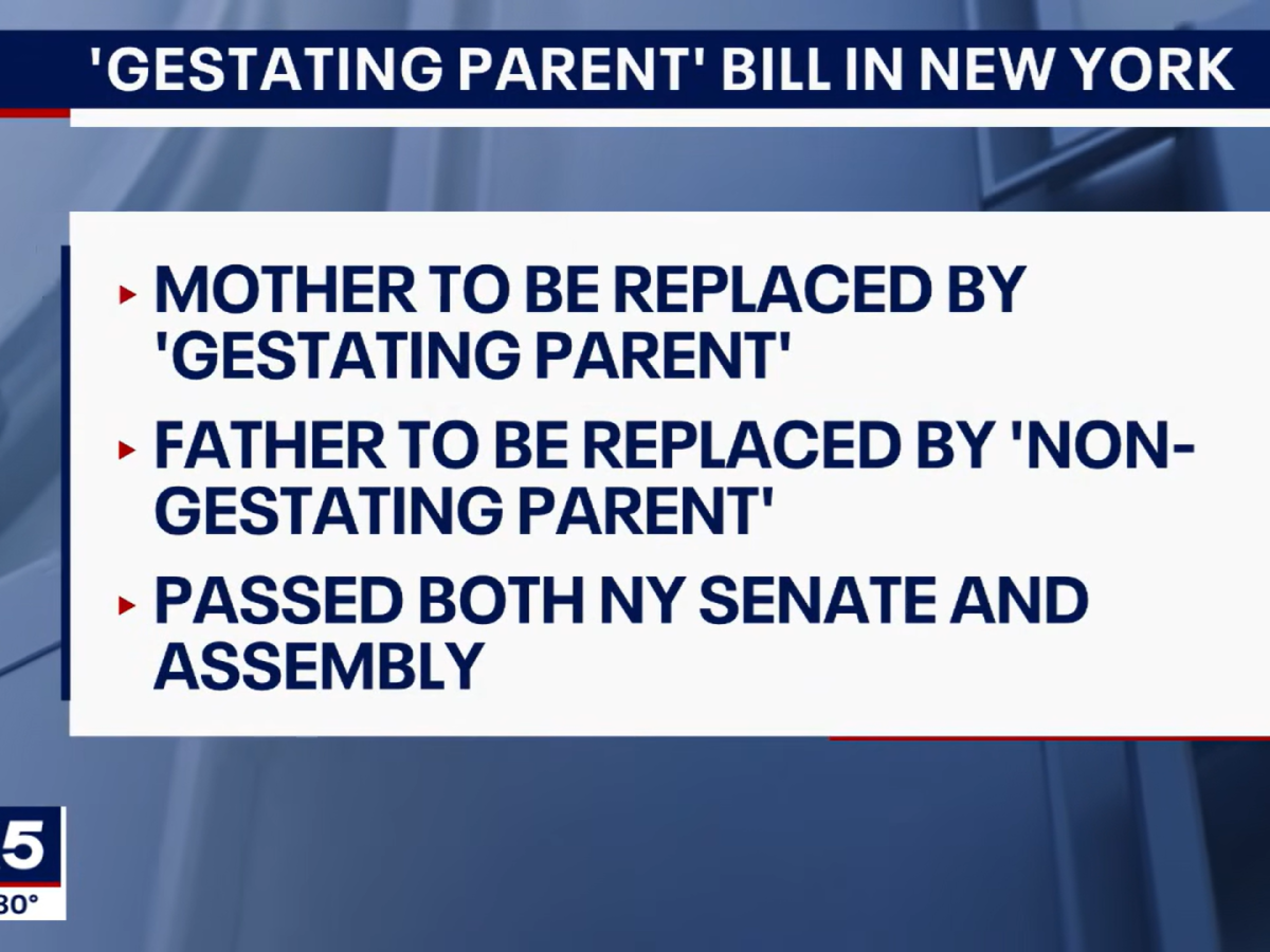 new york cancella mamma e pap224 ora sono genitori gestanti o non gestanti da Ilgiornale.it new york cancella mamma e pap224 ora sono genitori gestanti o non gestanti