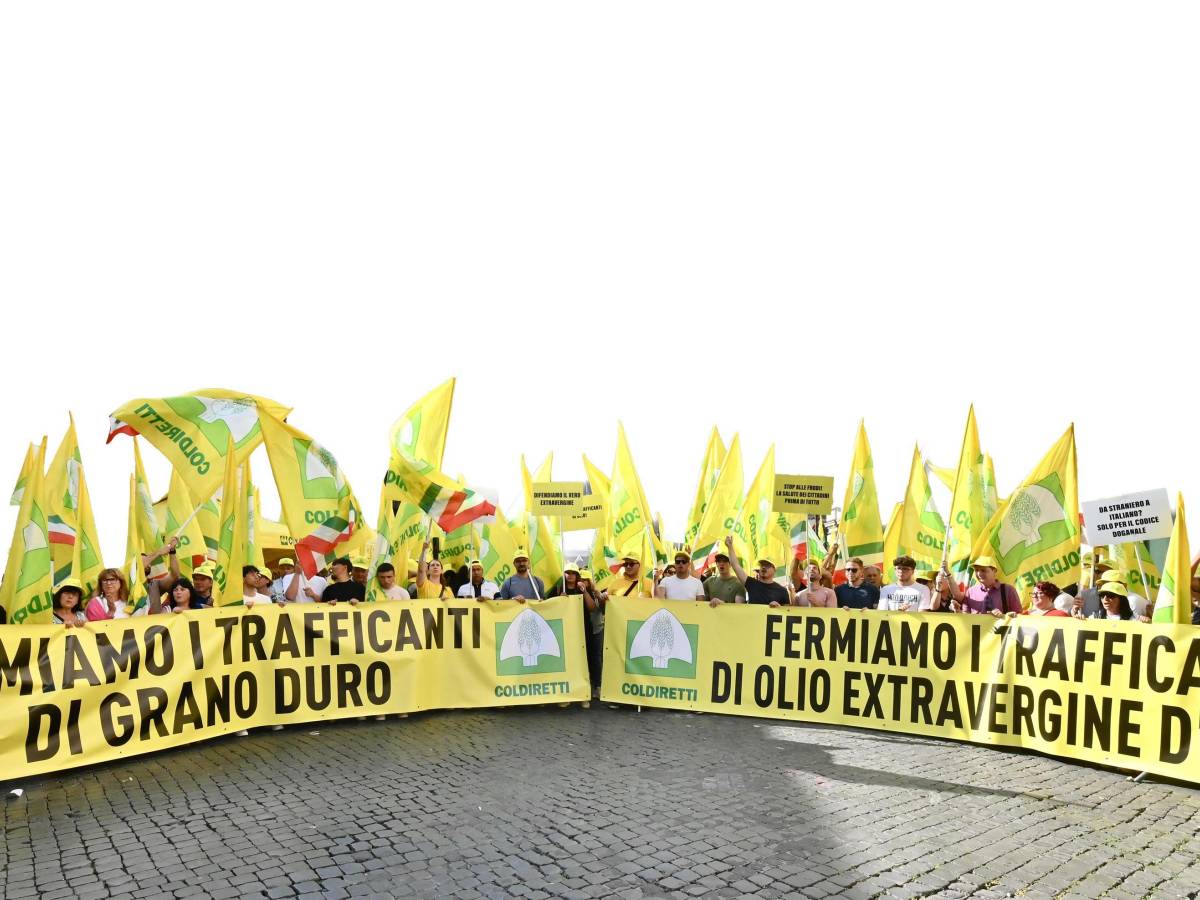 gi249 le mani da grano e olio coldiretti contro le speculazioni da Ilgiornale.it gi249 le mani da grano e olio coldiretti contro le speculazioni