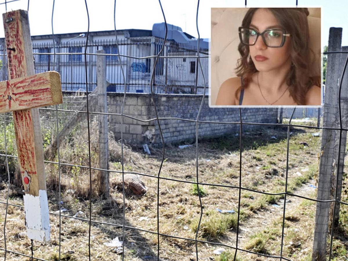omicidio martina carbonaro la testimonianza del carabiniere si confidava con chatgpt l ex in chat devi morire per amore da Ilgiornale.it omicidio martina carbonaro la testimonianza del carabiniere si confidava con chatgpt l ex in chat devi morire per amore