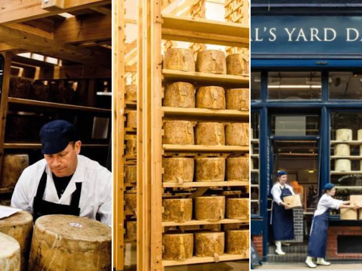 il grande furto del formaggio ventidue tonnellate di cheddar evaporate con una mail da Ilgiornale.it il grande furto del formaggio ventidue tonnellate di cheddar evaporate con una mail