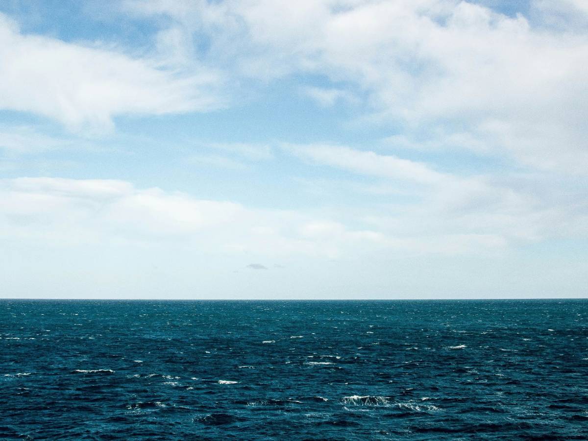 allarme in mare il caldo fa proliferare il batterio vibrio i rischi per i bagnanti da Ilgiornale.it allarme in mare il caldo fa proliferare il batterio vibrio i rischi per i bagnanti