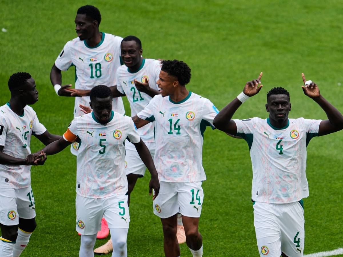 il boom delle squadre africane ai mondiali cosa c8217232 dietro e chi pu242 continuare a stupire da Ilgiornale.it il boom delle squadre africane ai mondiali cosa c8217232 dietro e chi pu242 continuare a stupire