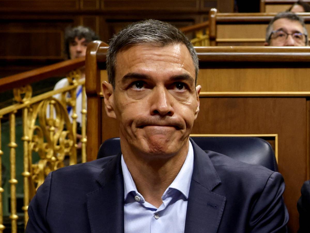 migranti la maxi sanatoria di sanchez rischia lo stop giudici spagnoli pronti a rivolgersi all8217ue da Ilgiornale.it migranti la maxi sanatoria di sanchez rischia lo stop giudici spagnoli pronti a rivolgersi all8217ue