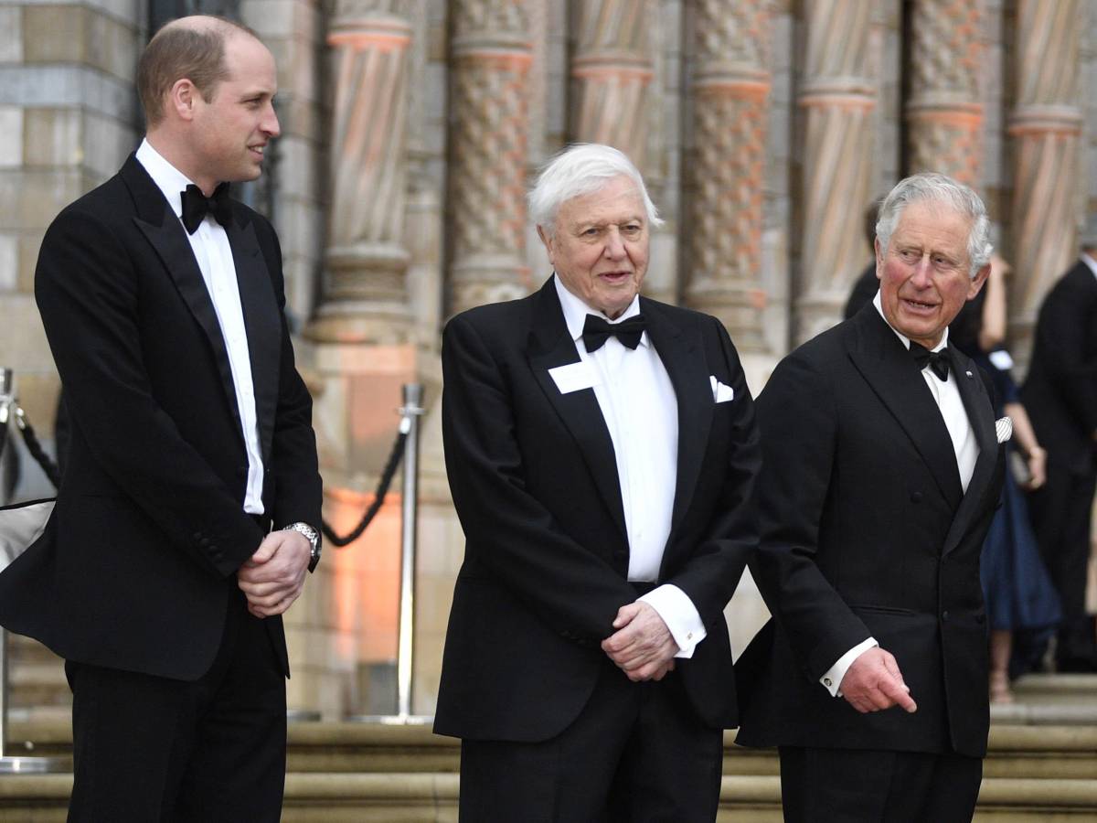 viaggio di harry a londra incontro segreto tra re carlo william e camilla per prepararsi all arrivo del principe da Ilgiornale.it viaggio di harry a londra incontro segreto tra re carlo william e camilla per prepararsi all arrivo del principe