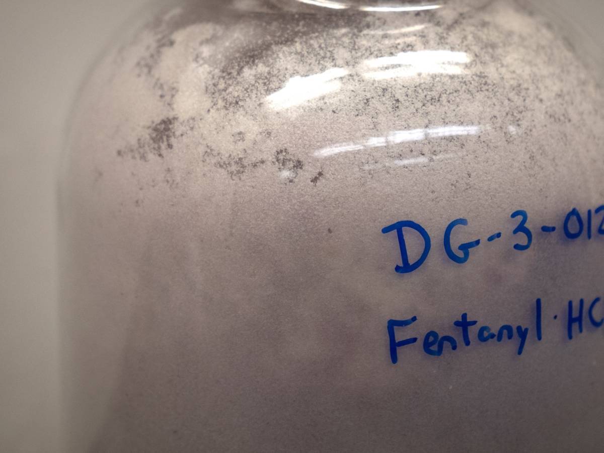 le chiavi l8217assenza di telecamere e il doppio accesso cosa non torna nel furto del fentanyl a roma da Ilgiornale.it le chiavi l8217assenza di telecamere e il doppio accesso cosa non torna nel furto del fentanyl a roma