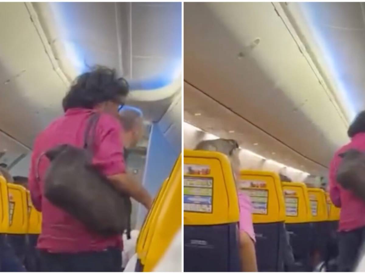 tensioni sul volo francesco renga viene fatto scendere dall8217aereo cosa 232 successo da Ilgiornale.it tensioni sul volo francesco renga viene fatto scendere dall8217aereo cosa 232 successo