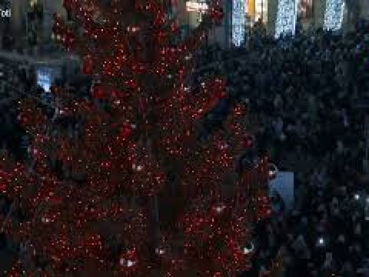 VIDEO Ecco l'accensione dell'albero di Natale a Genova ilGiornale.it