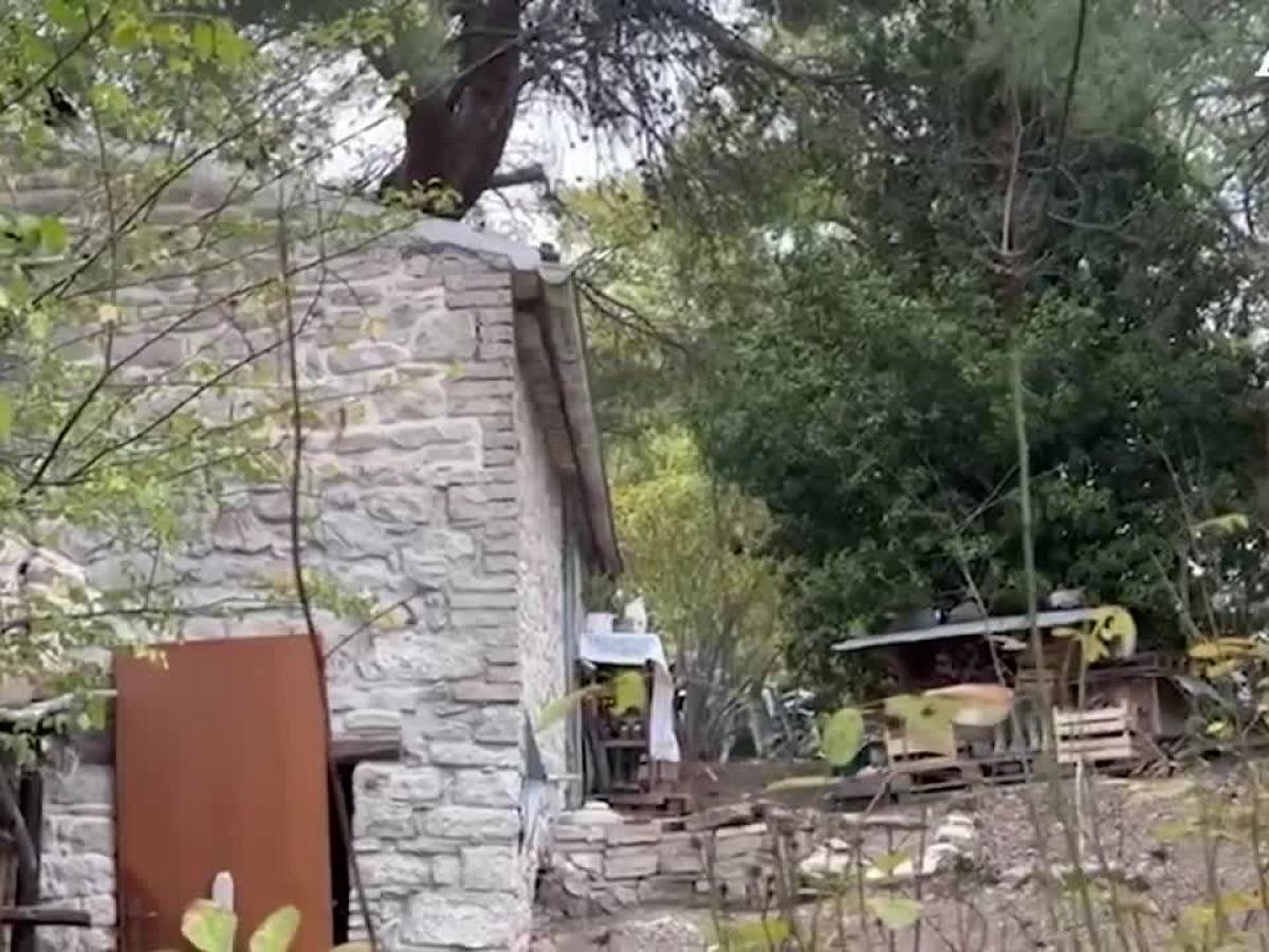 A Genzano vi aspettano i Dinosauri della mostra World of Dinosaurs - Monte Due Torri, via Montegiove 77 - Orari - Castelli Notizie