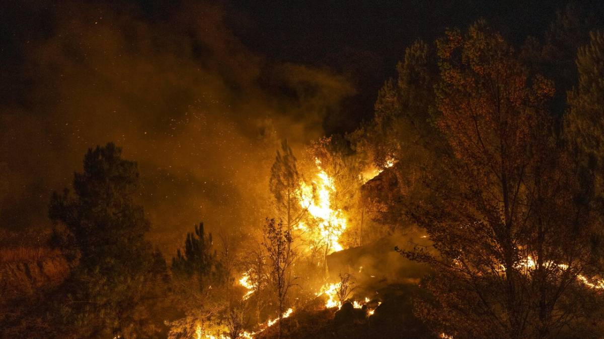 Rogo in Andalusia, turisti in trappola: 12 morti