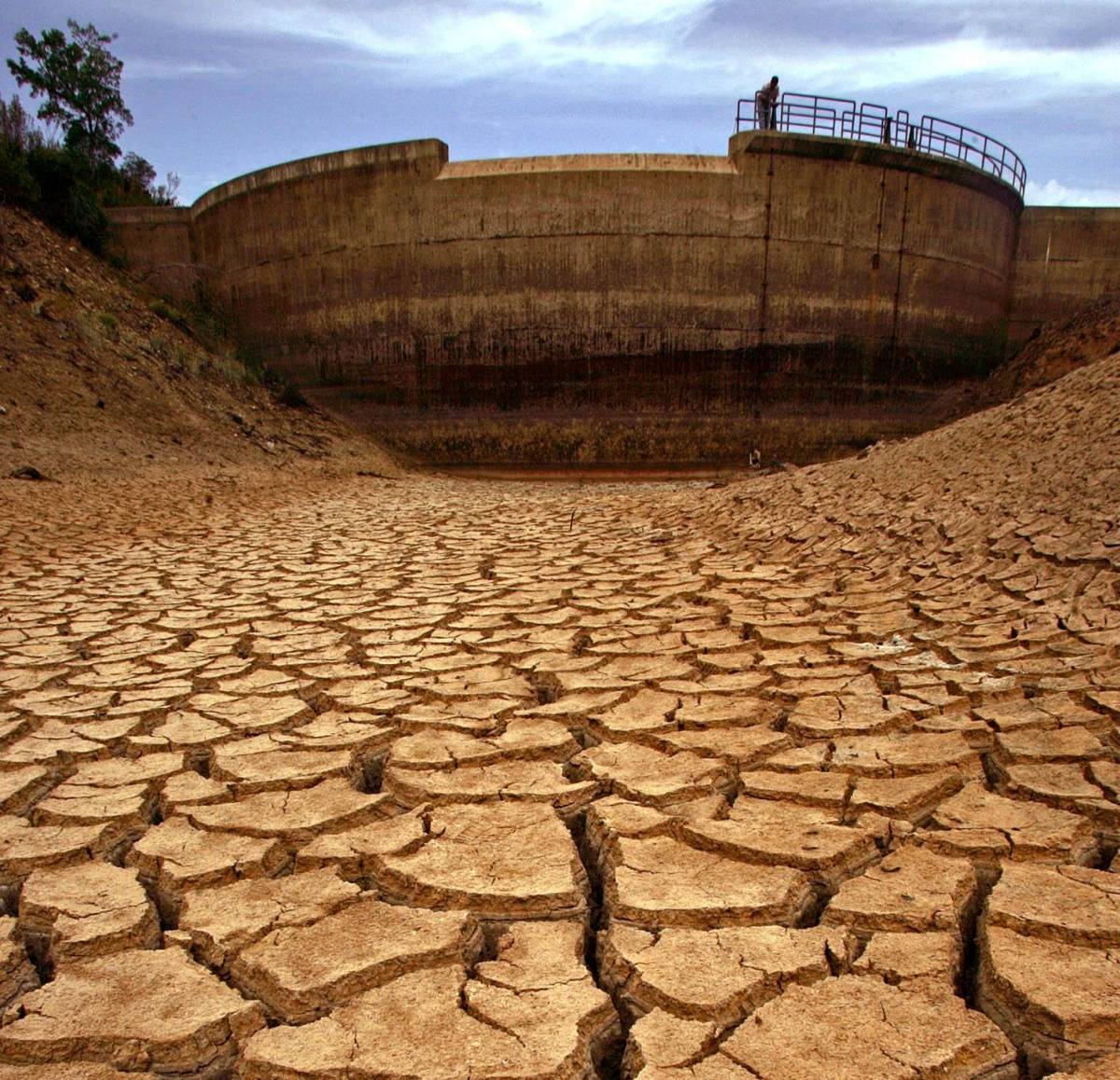 Le campane scozzesi  contro l’effetto serra