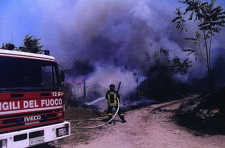 Berna, il feto in mostra scatena la polemica