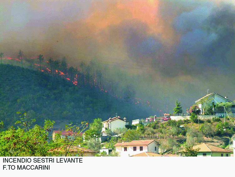 La Liguria brucia, milioni in fumo