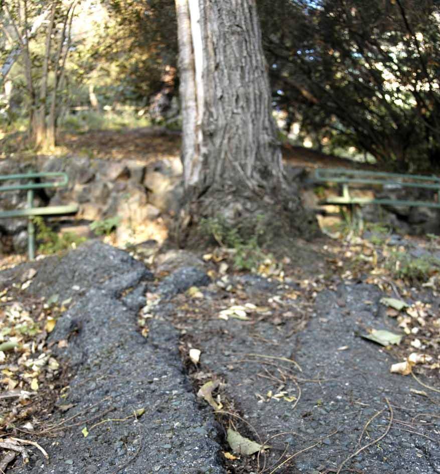 Villa Giuseppina è solo un ricordo