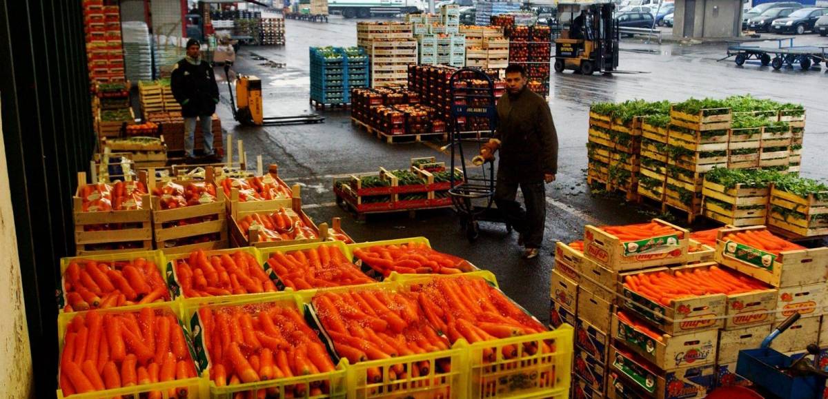 Sabato al Palacus appuntamento con gli spadisti più famosi del mondo