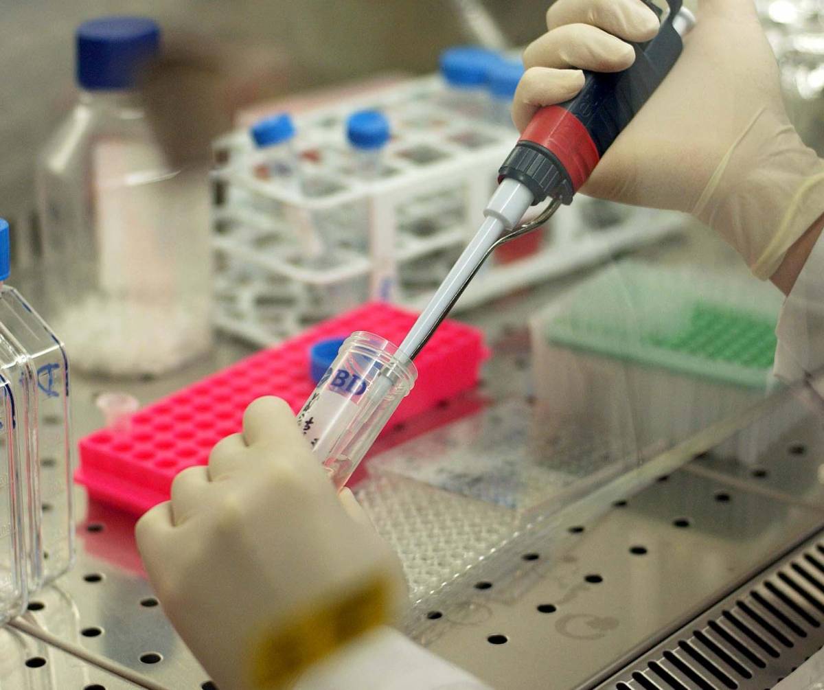 Terna: Cdp ricorre al Tar