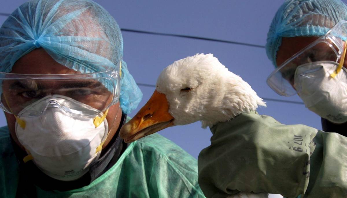 «I dottori curino la medicina»