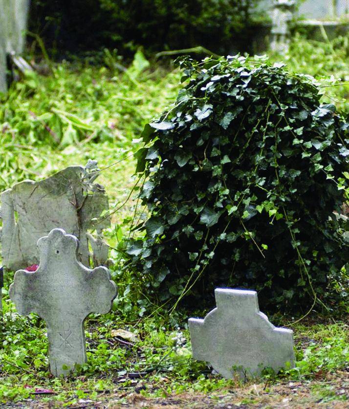 Erbacce, rifiuti e bare bruciate nei piccoli cimiteri del levante