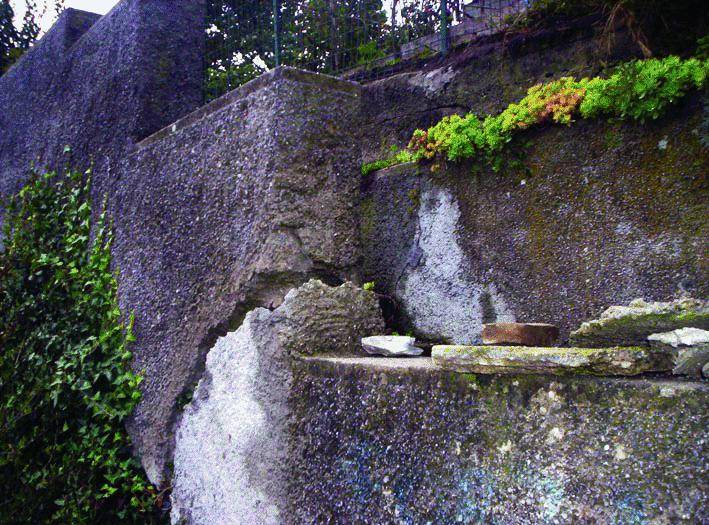 La crisi seppellisce il prezzo dei fiori E Albenga li vieta