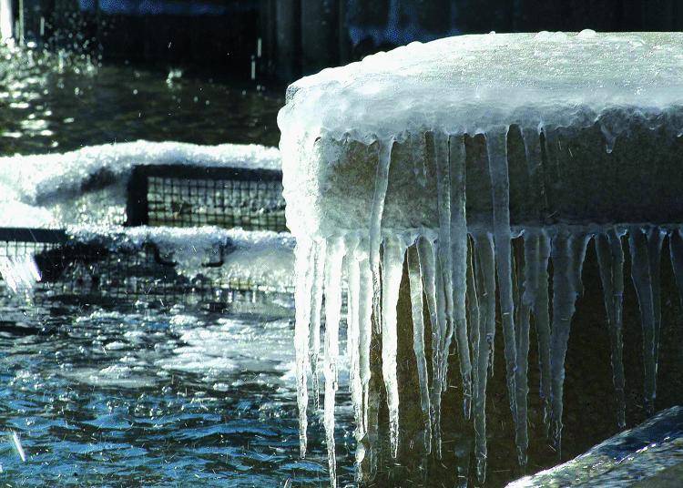 Il freddo «congela» anche  i treni