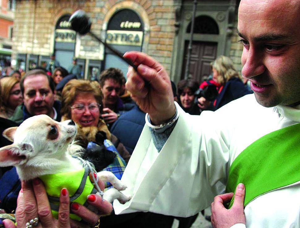 Milano International Film Festival 2006:  premiato anche Avati