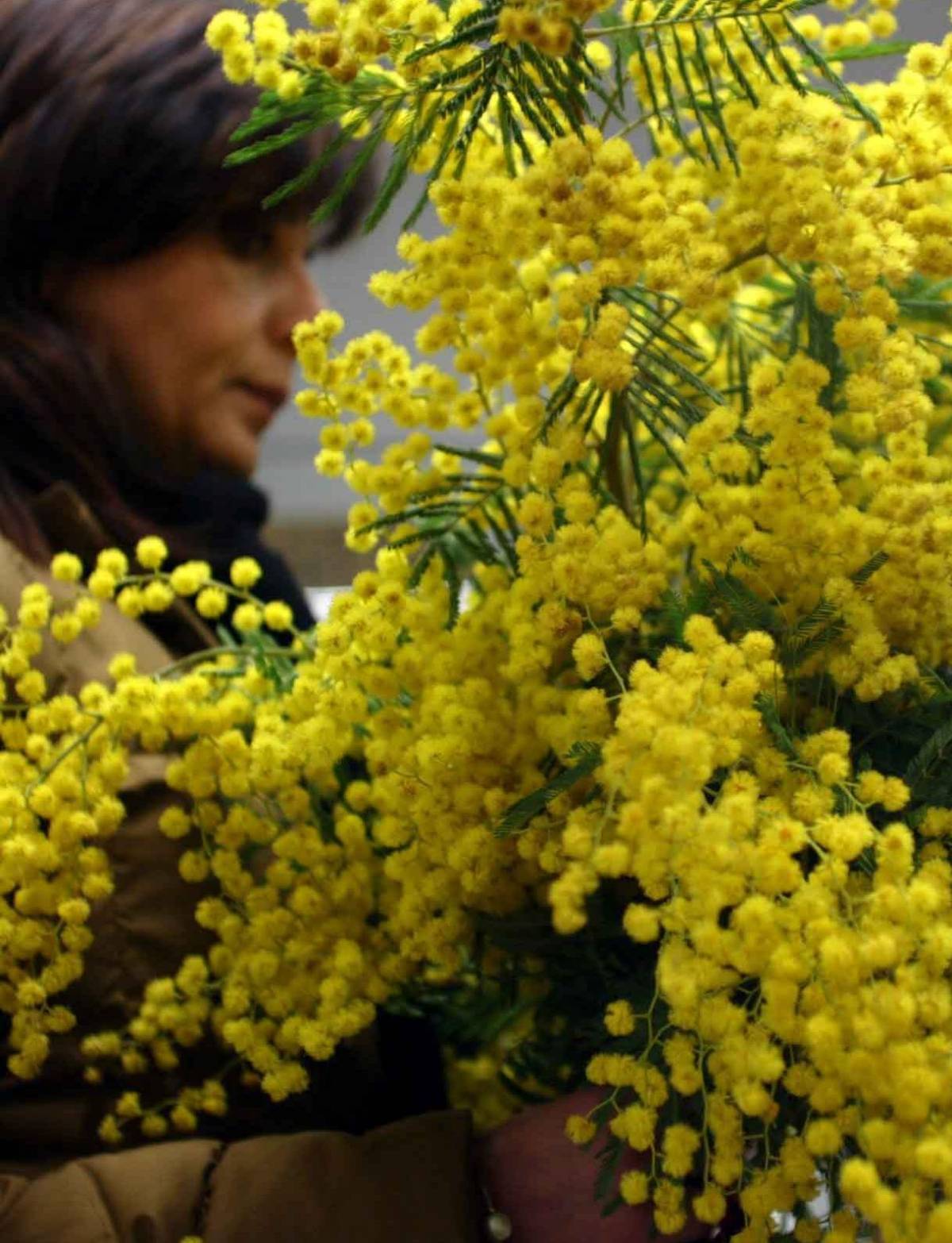 Week-end in giallo a Pieve Ligure