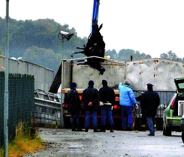 La squadra non esiste, l’azione sì