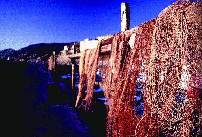 Scatti d’autore a Bogliasco