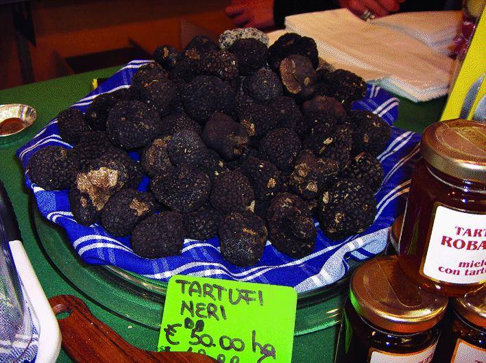 Sua maestà il tartufo torna alla corte di Alba