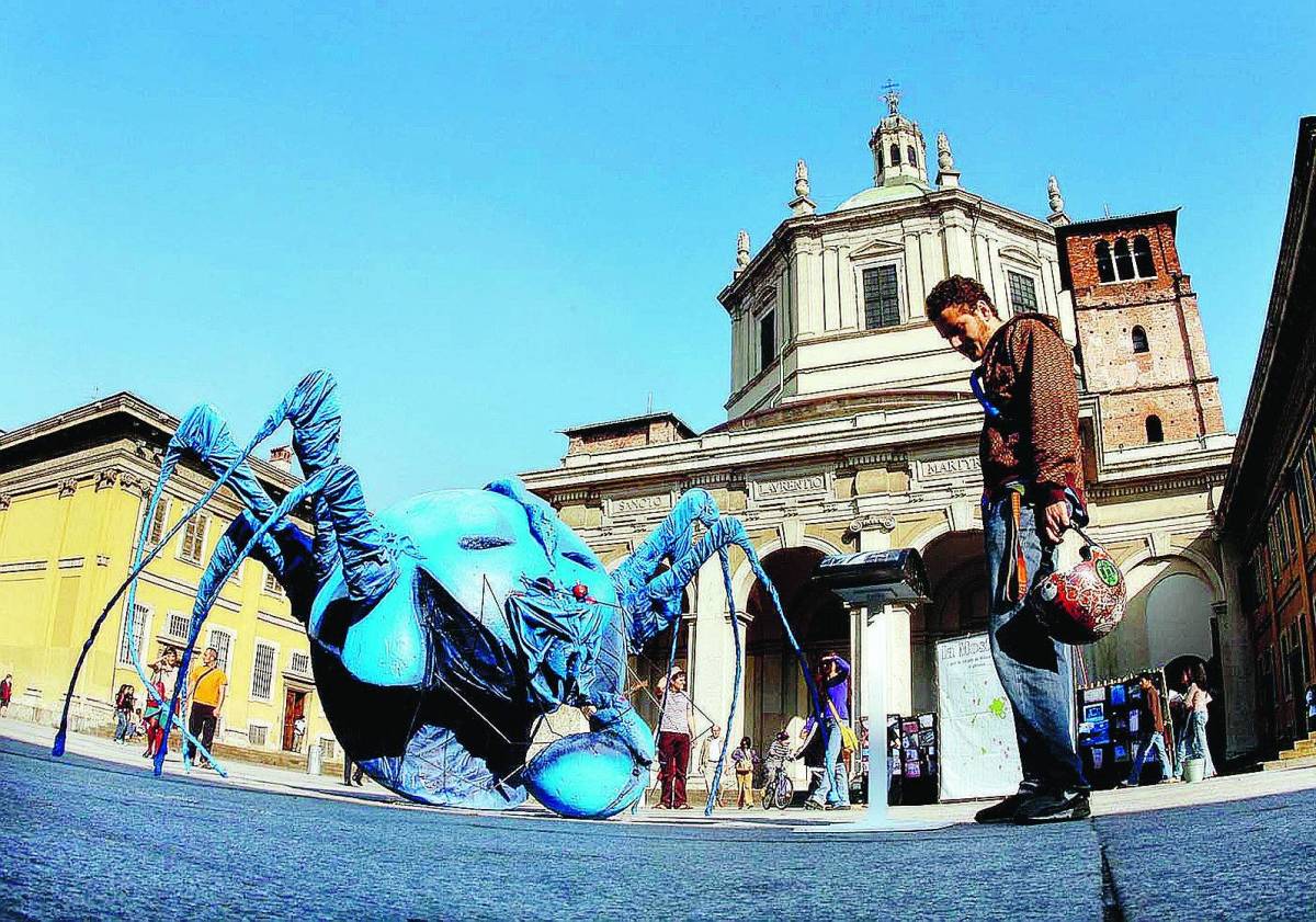 Un ragno blu atterra alle colonne di S. Lorenzo