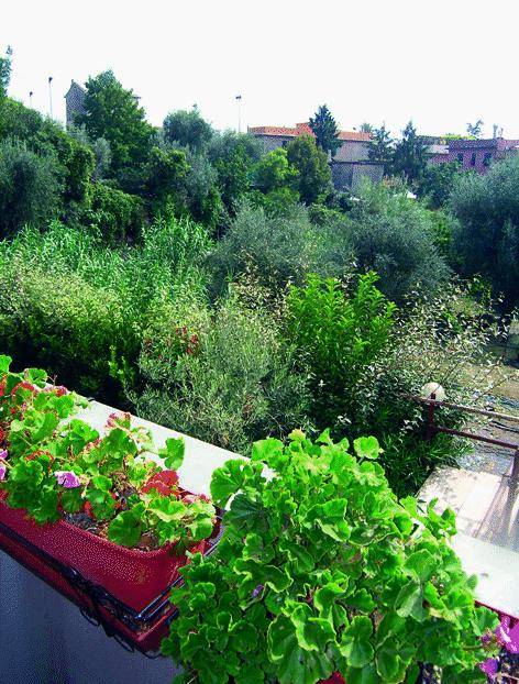 L’uliveto è salvo, ma le palazzine si faranno